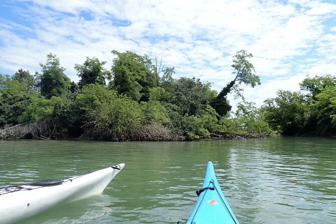 2 Hour Night Kayak Tour in Venice, premium experience with sunset - Sunset Light: Why Evening Paddling Gives Better Venice Views