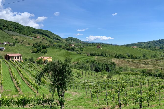 A Sparkling Day in the Prosecco Hills from Venice - Prosecco Hills World Heritage viewpoints and hilltop pauses