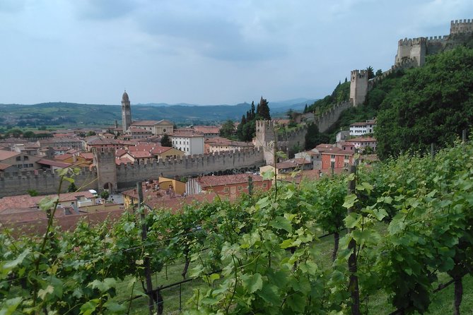 Amarone & Soave Wine Tour with Sommelier – Visit Verona - Verona walking tour: quick hits that actually help
