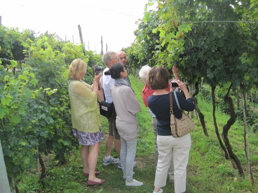 Amarone Wine Tour & Tasting from Venice, Padua or Verona - Quick hits before you go