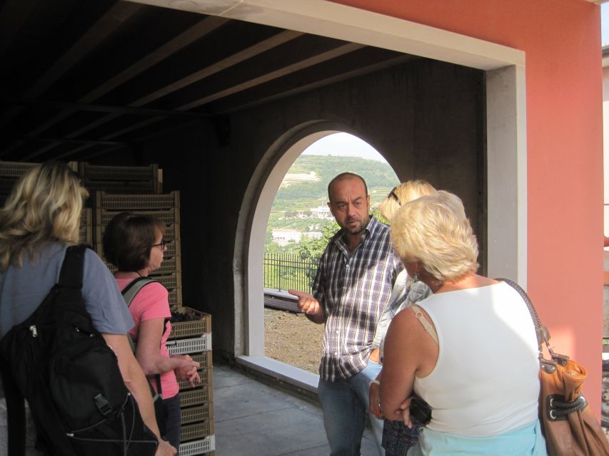 Amarone Wine Tour & Tasting from Venice, Padua or Verona - Price and value: why $542 per person can make sense
