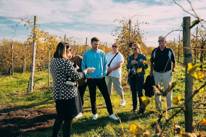 From Venice: Prosecco Hills and Wine Tasting Tour - Meet your guide at Piazzale Roma (and why that matters)