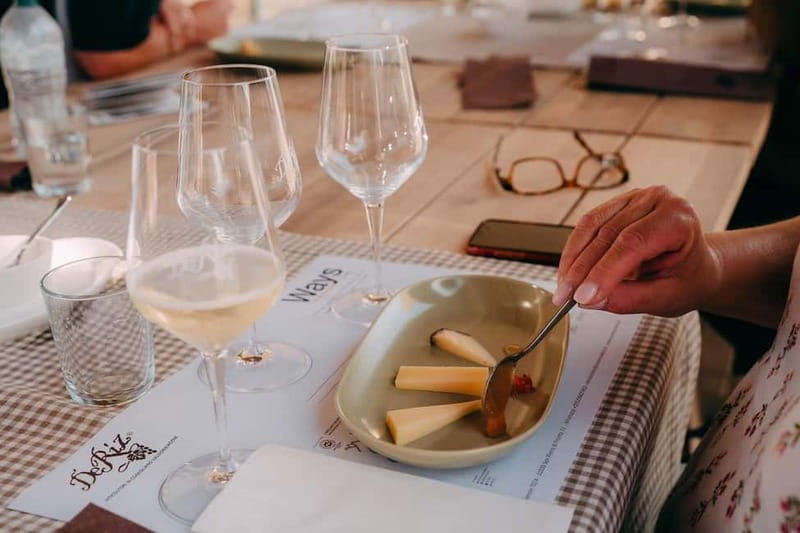 From Venice: Prosecco Hills and Wine Tasting Tour - Who this tour fits best (and who should skip it)