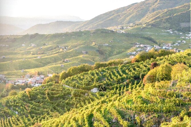 Full Day Wine Tour and Tasting in the Prosecco Region - The Value Equation: Is This Price Reasonable?