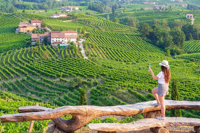 Premium Prosecco Hills Winery Tour with Prosecco Tastings & Food - Key highlights to know before you go