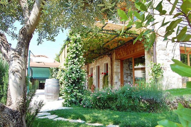 Premium Prosecco Hills Winery Tour with Prosecco Tastings & Food - Private Prosecco hills without the big-tour feeling