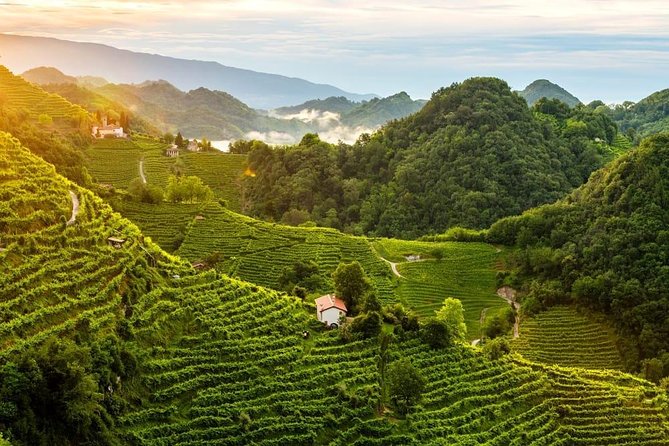 Premium Prosecco Hills Winery Tour with Prosecco Tastings & Food - Valdobbiadene stop: a short hit of the hill country