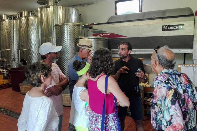Premium Prosecco Hills Winery Tour with Prosecco Tastings & Food - Conegliano winery time with the owner: small-group, real questions