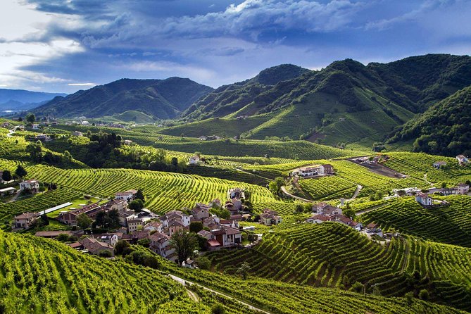 Premium Prosecco Hills Winery Tour with Prosecco Tastings & Food - Venice pickup: easy meeting point, real-world timing
