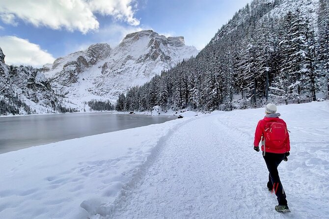 Private Guided Tour in the Dolomites from Venice - The Private Van setup: snacks, audio, and why it’s not just transportation