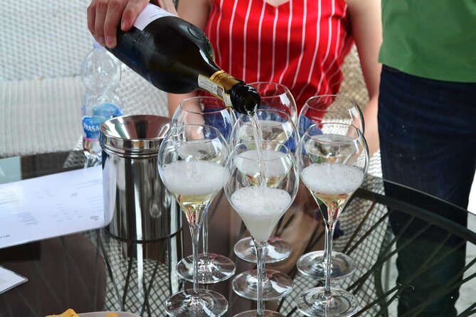 Private Tour: Prosecco Wine Tasting Day Trip with Lunch from Venice - Key things to know before you go