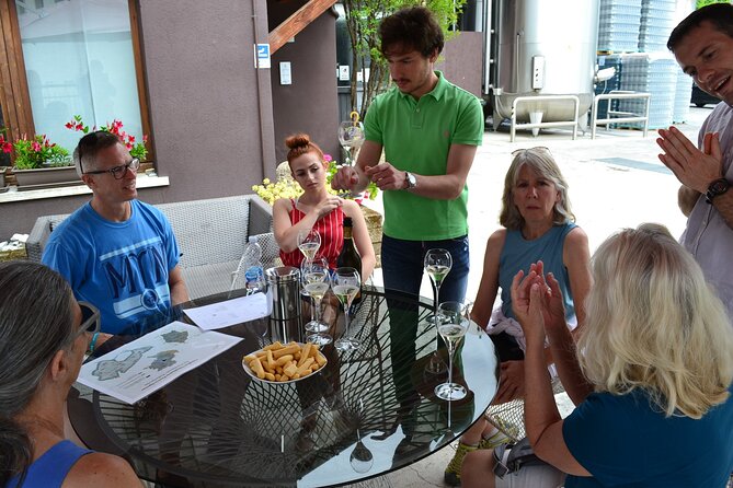 Private Tour: Prosecco Wine Tasting Day Trip with Lunch from Venice - Price and value: what €480.59 buys you (and what it doesn’t)