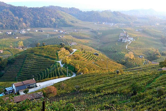 Private Tour: Prosecco Wine Tasting Day Trip with Lunch from Venice - Who this private Prosecco tour suits best