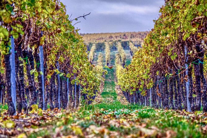 Private Valpolicella Day Trip from Venice: Wine Tasting and Verona - Key Things Worth Knowing