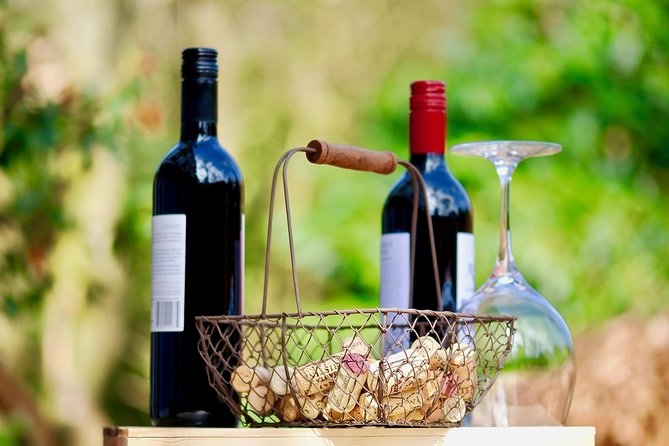 Private Valpolicella Day Trip from Venice: Wine Tasting and Verona - Villa Serego Alighieri and Amarone: What You’re Actually Tasting