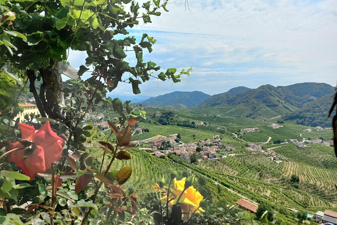 Prosecco Hills Day Trip from Venice & Treviso: 2 Wineries - Getting Started With Giulia or Giacomo (and a Comfort-First Ride)