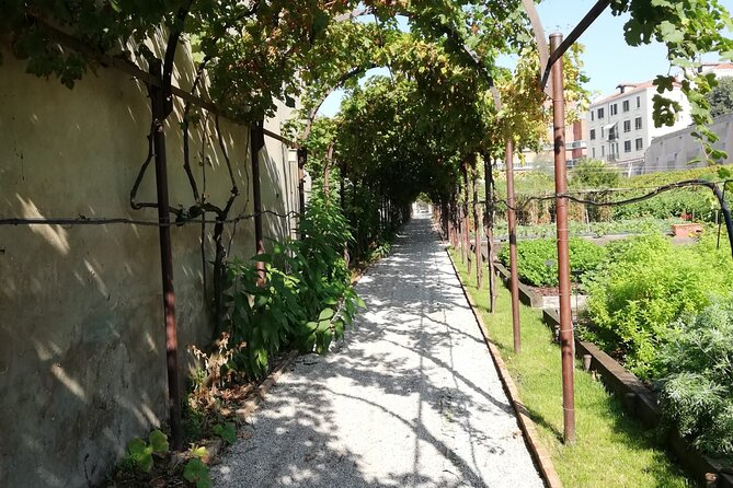 Secret Gardens of Venice Walking Tour - Stop 5: Spazio Thetis, a Green Oasis With Modern Sculptures