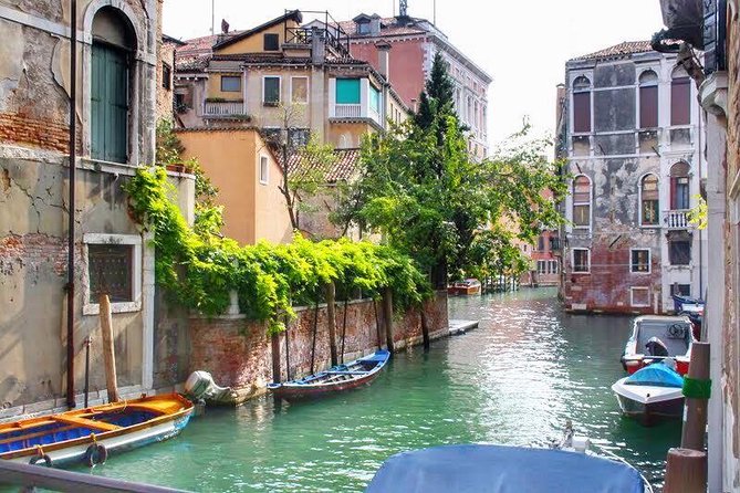 Tasty Street Food Tour of Venice City Center with Cicchetti & Local Specialties - Stop 4: the short Tasty Tours moment and how you finish near Campo Santa Margherita