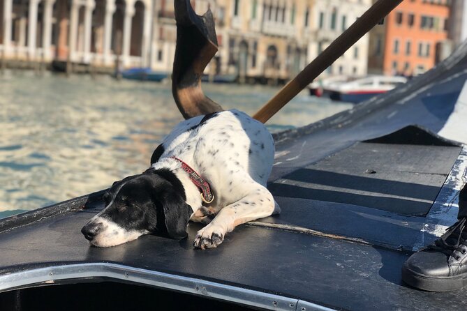 The Secrets of Venice - Private Tour - Ponte di Rialto and a St Mark’s Square walk: the big-stage Venice