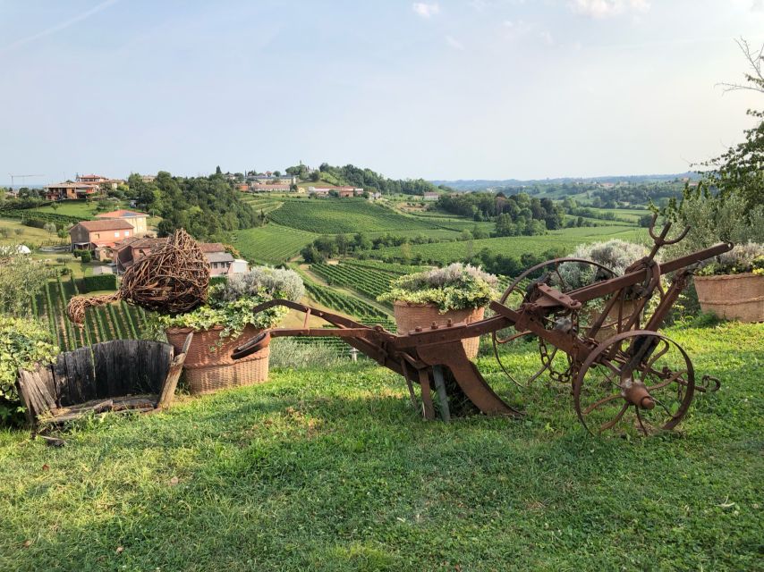 Venice: Prosecco Hills Wineries Tour with Tastings and Lunch - Key highlights worth your attention