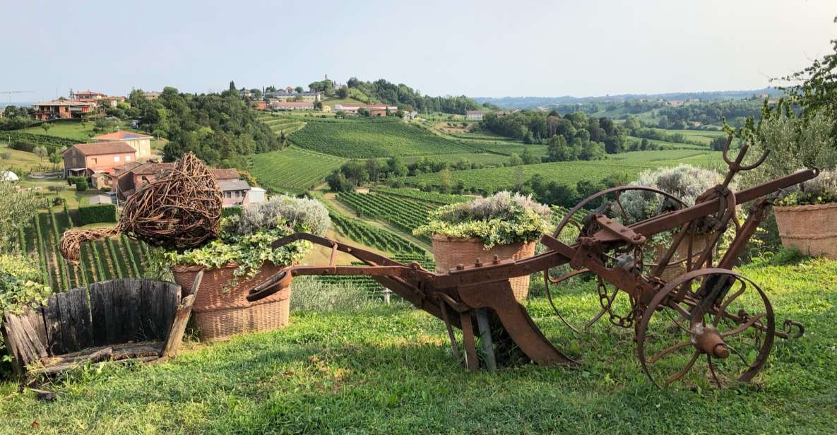 Venice: Prosecco Hills Wineries Tour with Tastings and Lunch - Stop 1 in the hills: learning Prosecco, then tasting it