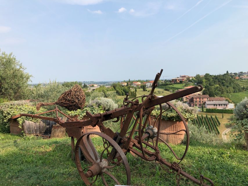 Venice: Prosecco Hills Wineries Tour with Tastings and Lunch - Aperitivo in the vineyards: calm views and a break from the schedule