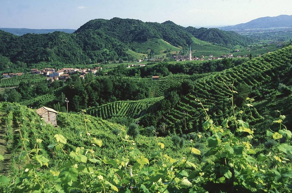 Venice: Prosecco Hills Wineries Tour with Tastings and Lunch - What the group size and guide style change for you