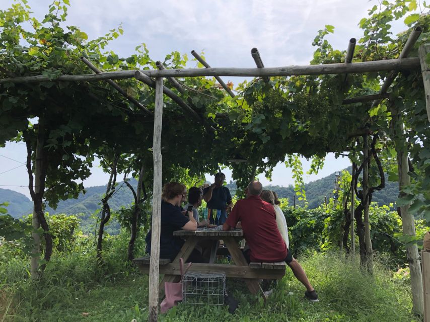 Venice: Prosecco Hills Wineries Tour with Tastings and Lunch - A practical packing and pacing plan for a wine day